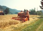 MF Drescher 23